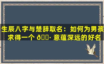 生辰八字与楚辞取名：如何为男孩求得一个 🕷 意蕴深远的好名 🌼 字